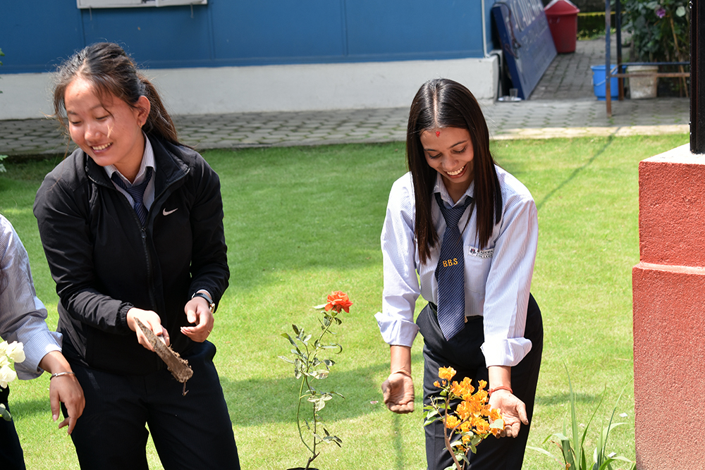 Environment Day