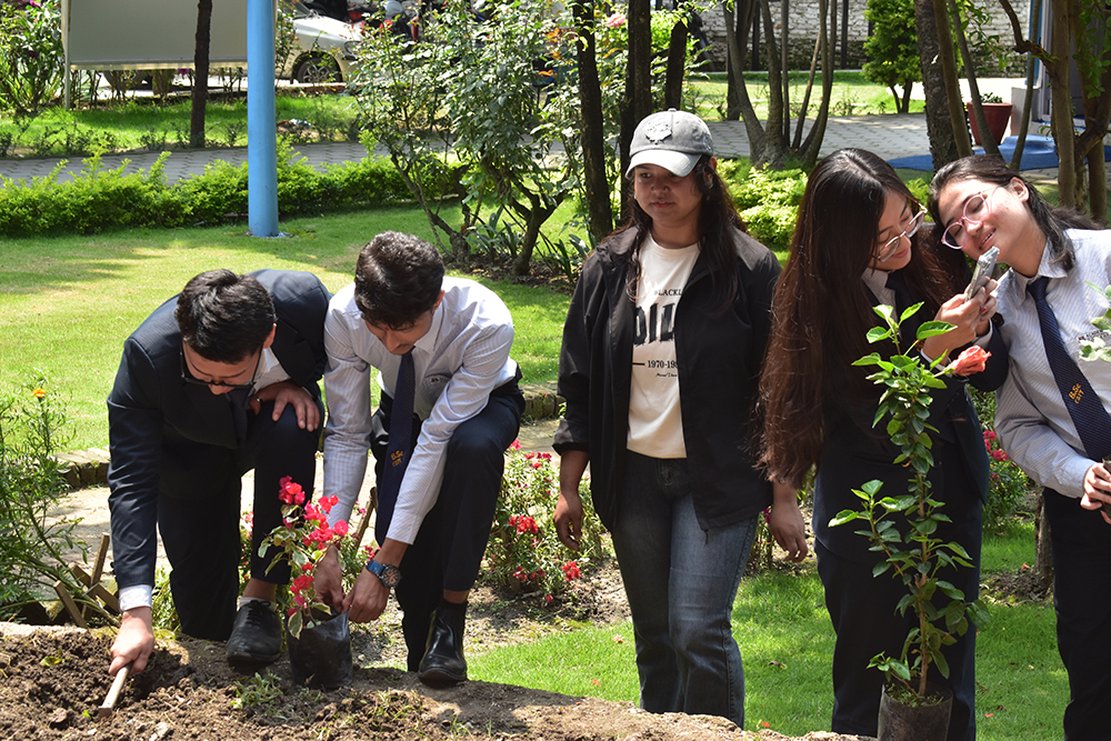 Environment Day